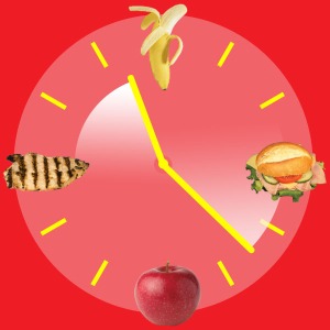 food_clock