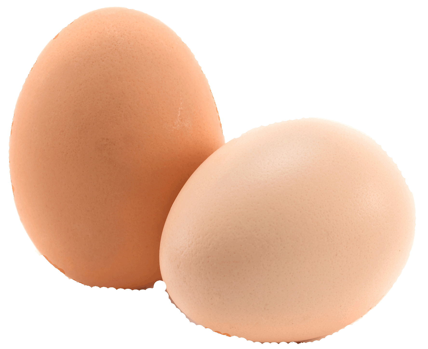 Two eggs. Яйцо куриное. Яйцо на прозрачном фоне. Яйцо на белом фоне. Яйцо для фотошопа.